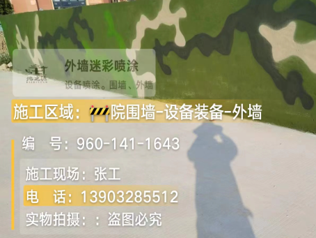 庆阳 迷彩漆喷涂价格（按平方米计费）